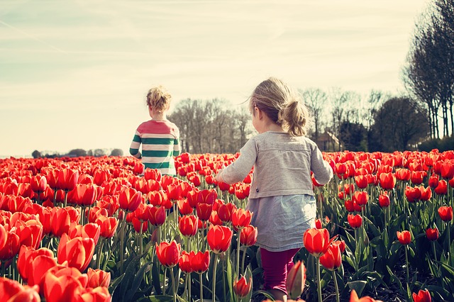 holčičky v tulipánech